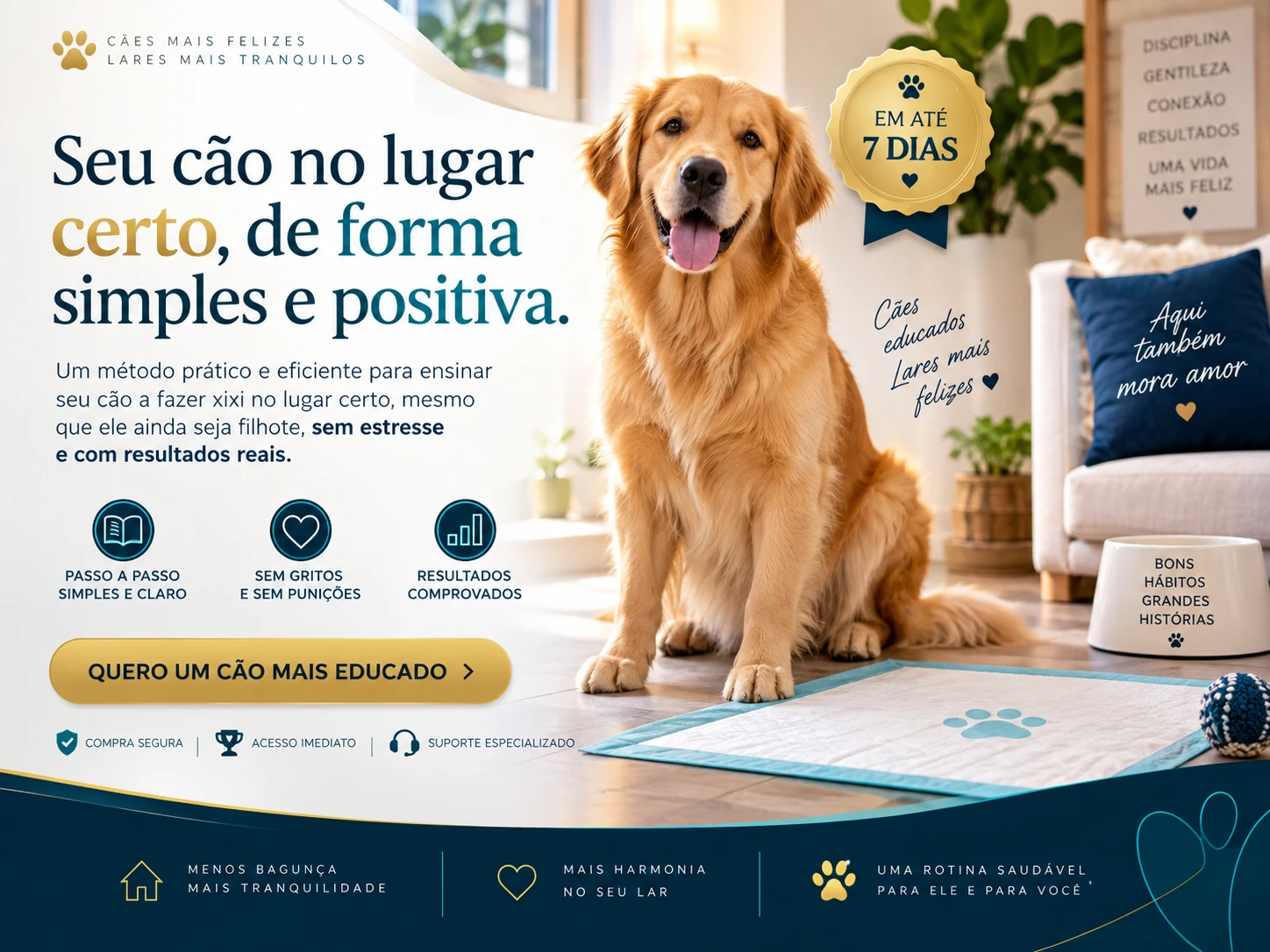 O Guia Definitivo Para o Seu Cão Fazer Xixi no Lugar Certo
